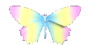 M_pastelbutterfly
