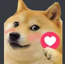 doggoheart