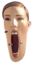 paaarghlmer