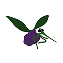 Grapeskeeto
