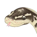 1SnekButter