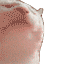 a_jamcatfast Discord emoji