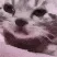 sadcate