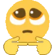 Pleading