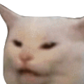 FR_WTFCat Discord emoji