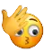 z_shytype