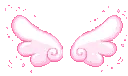 apink_wings