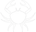 zodiac_cancer11