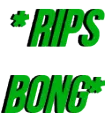 pBongrip