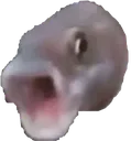 Pogfish PogFish Discord Emoji