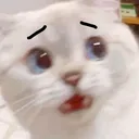 cat_fear