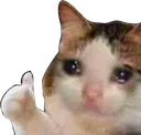 cat_sadthumbsup cat_sadthumbsup