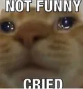 not_funny