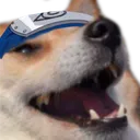 kekdog