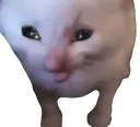 SCherbertCRY