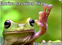 :frog: