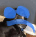 :dogsad: