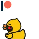 dukkyduke