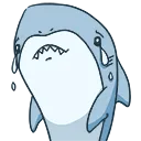 shark_cry