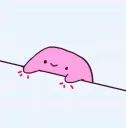 bongoKirby