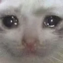 cri