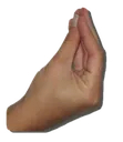 Italian_Hand