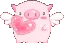 cutepig
