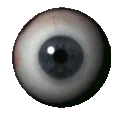 eye1