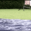 c_DMsOpen