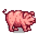 Pig_