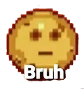 Bruhcookie