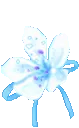 Flud_MB_Flower