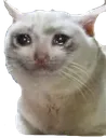 Sad Cat2 sadcat2 Discord Emoji