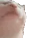 bop