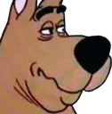 Scoob