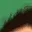 HE_Pog_1C