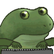 froghax Discord Emoji