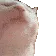 catJAM