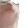 catJAM