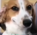 sc_WhenSheSaysComeOver Discord emoji