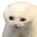 crycat
