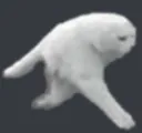 halfcat halfcat