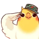 salutebirb