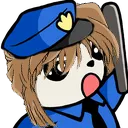 dcaicop