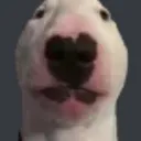 walter