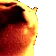 supercatjam