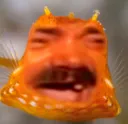 Kekwfish Kekwfish