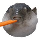 augh