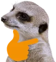 meerkat_think
