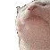 coolcatsfriend